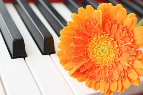 ピアノと花